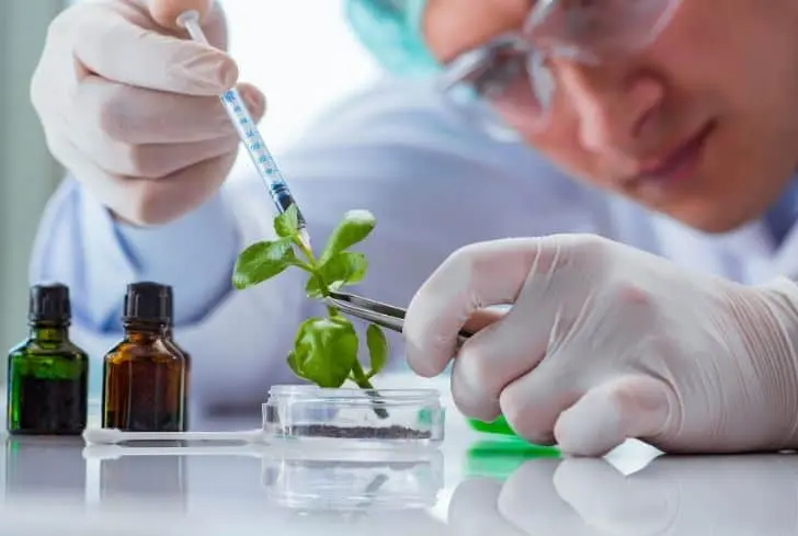 application of biotechnology